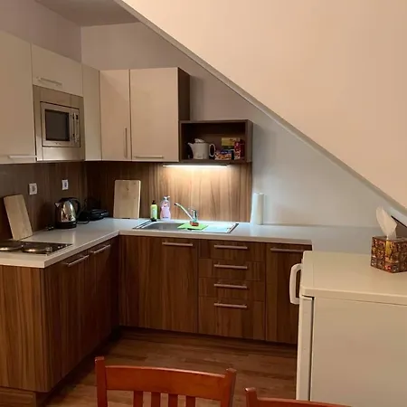شقة Apartman Na Horach - Karlov Pod Pradedem *